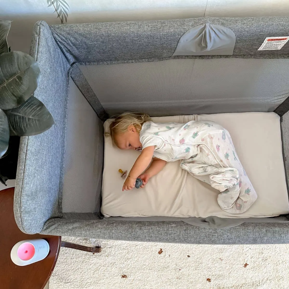 Glow Dreaming Travel Sleep Easy