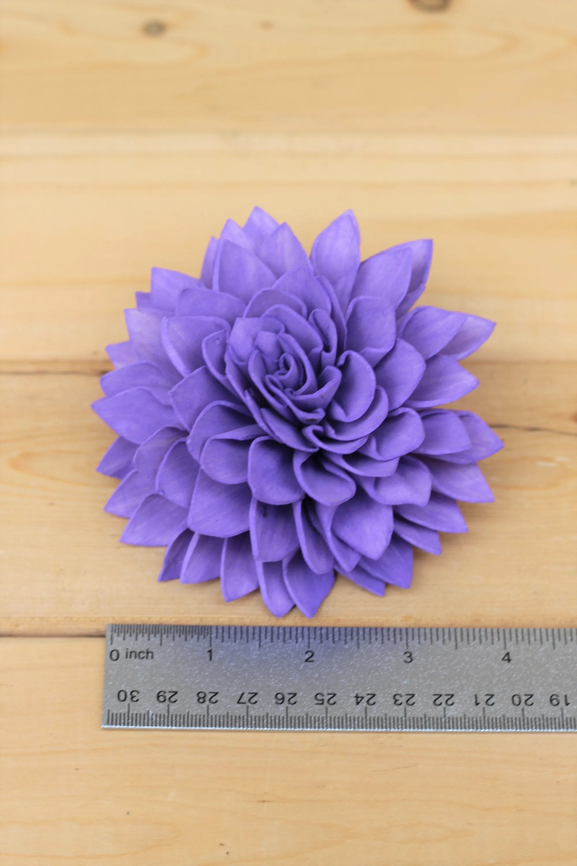 Purple Sola Dahlias 4" ( Set of 5 )