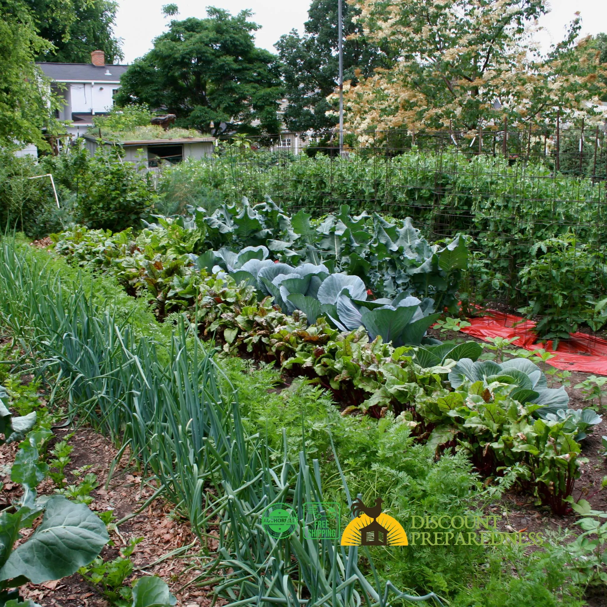Survival Garden Heirloom Seeds - 3 Pack